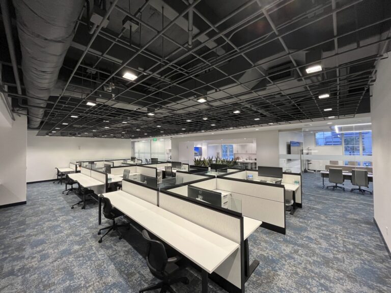 Modern office space featuring rows of empty cubicles with ergonomic chairs, set against a backdrop of an open-concept work area.