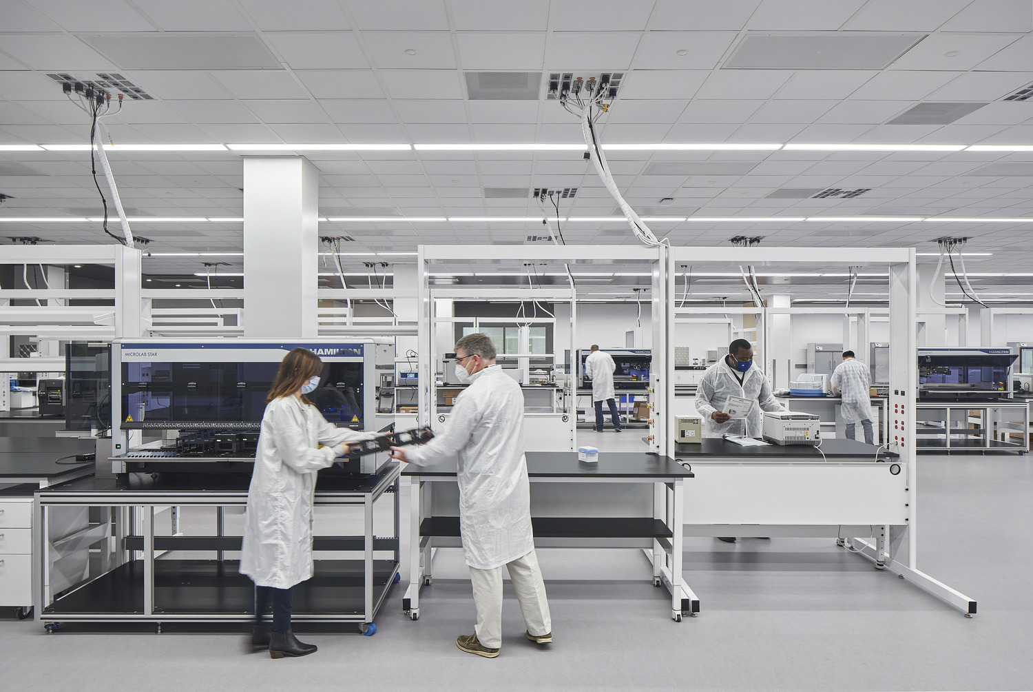 People working within a lab
