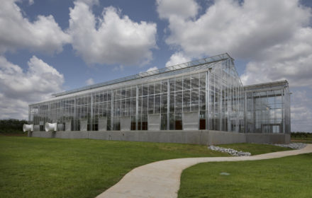 A greenhouse research facility is framed by a blue sky filled with cumulus clouds and an expanse of green grass bisected by a sidewalk