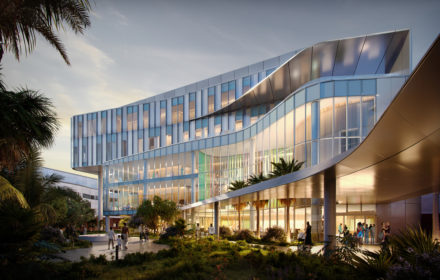 A hospital building rendering framed by planted palm trees