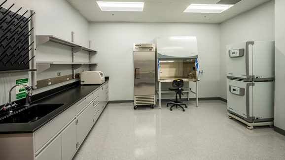 Interior of a Mercer University School of Medicine lab.