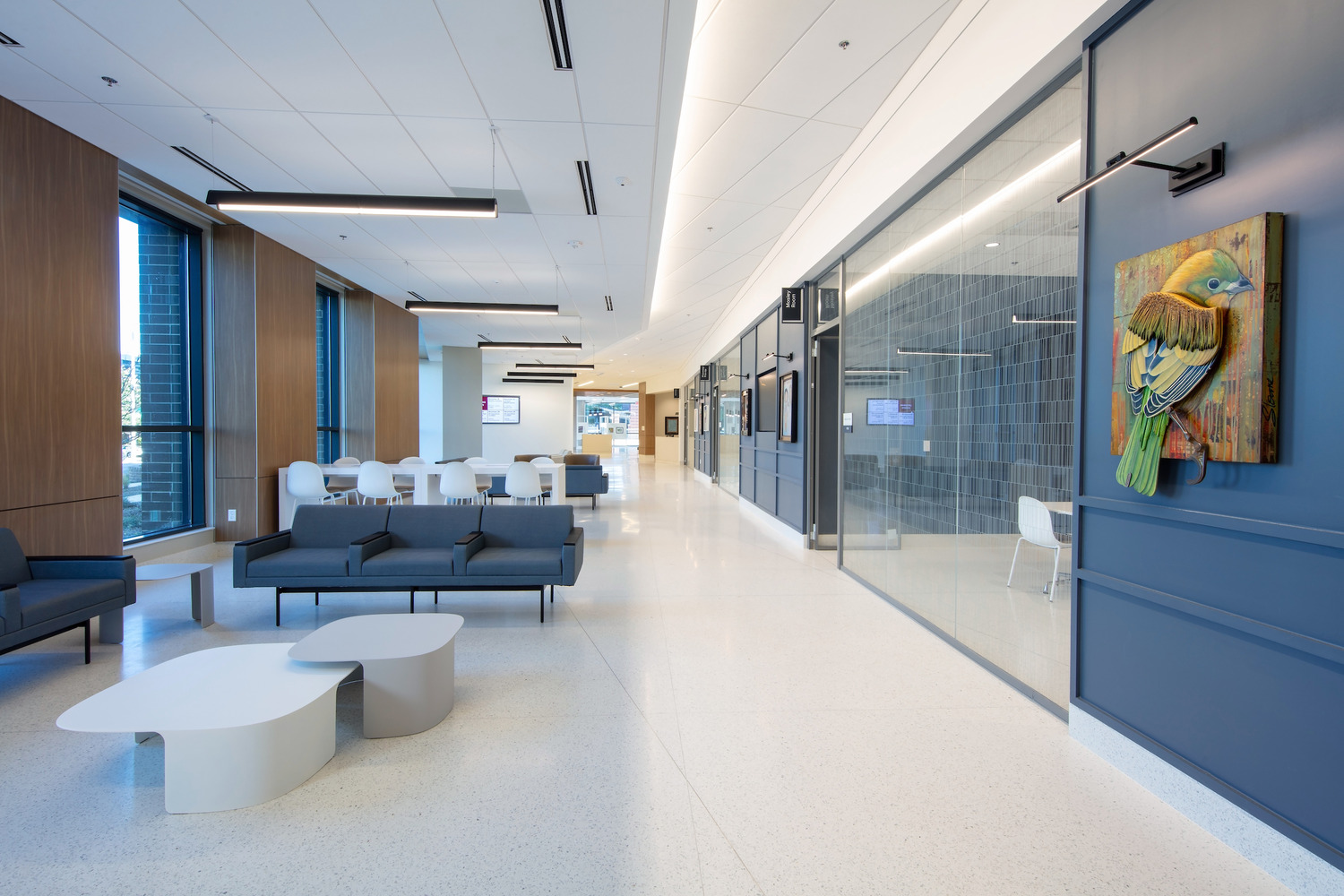 Cooper Green Mercy Hospital Final Photos