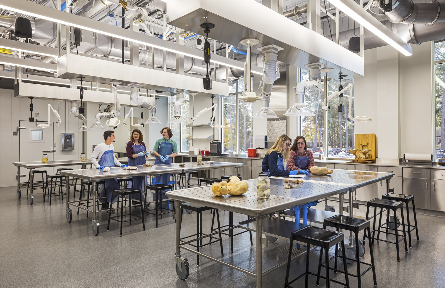 Necropsy Lab – This lab will be used for dissection of animals to study organs and tissue. Animal sizes range from frogs to pigs. This lab includes a 140 degree water hose to wash and help sterilize after dissections. 